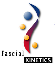Facial Kinetics Logo